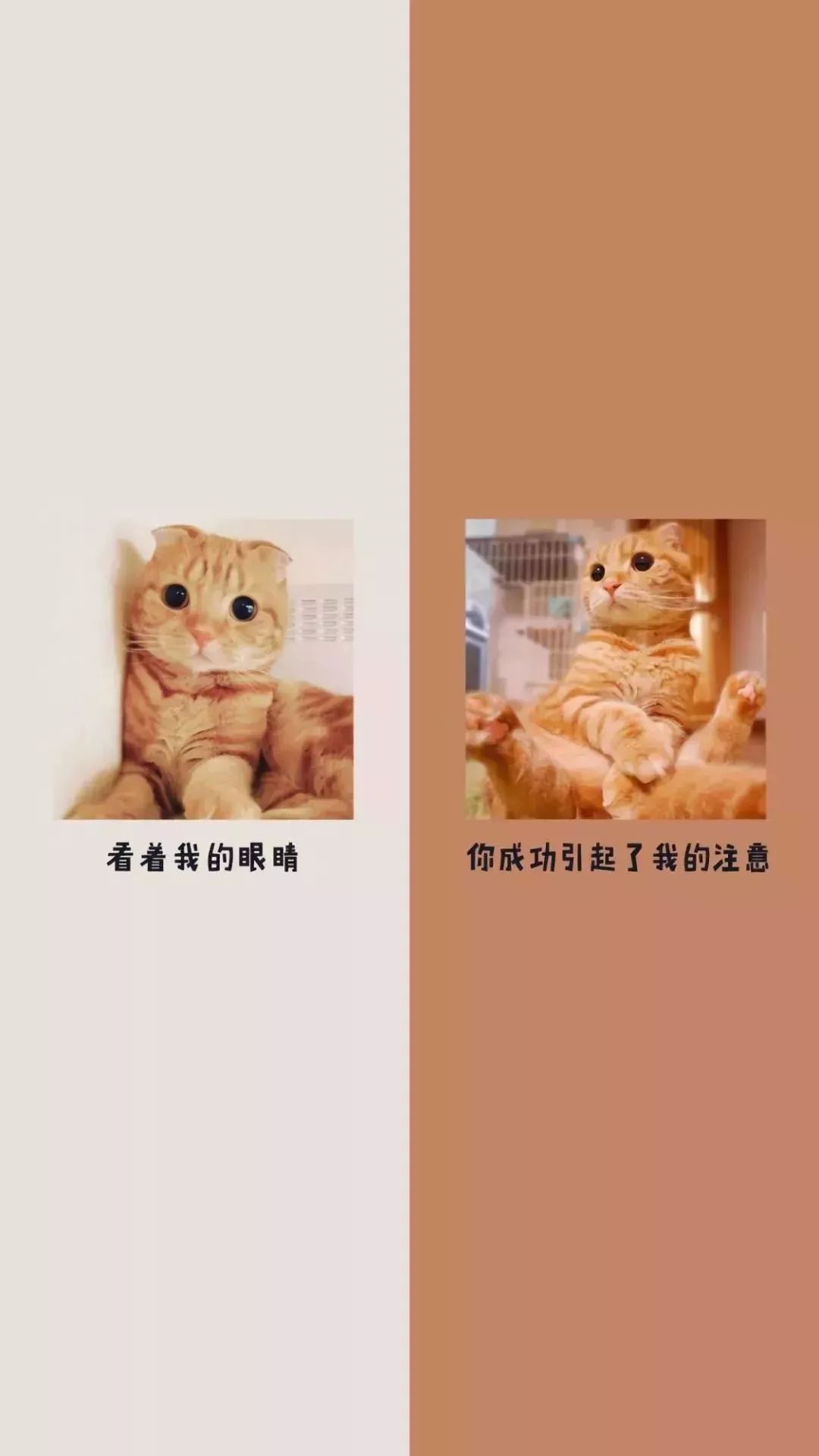 微信聊天背景图用过的能找回来么,微信聊天背景图超清女