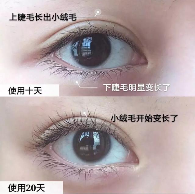 美国版睫毛增长液,法国进口的睫毛增长液真的有效吗