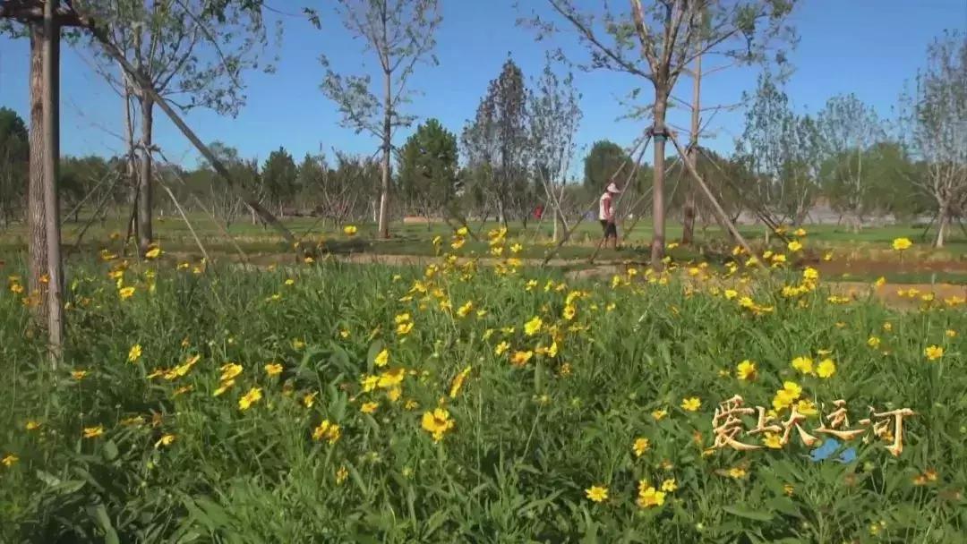 通州副中心风光,通州副中心最新进展