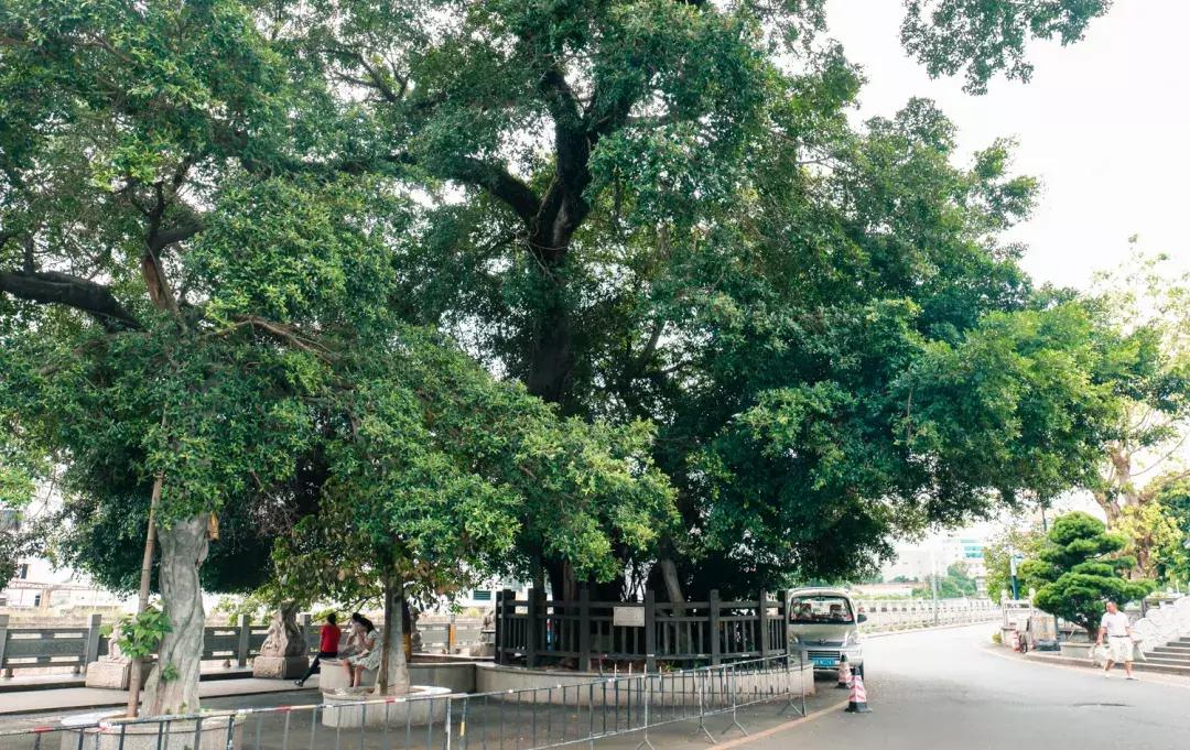 观澜有没有价值,观澜发展得起来吗