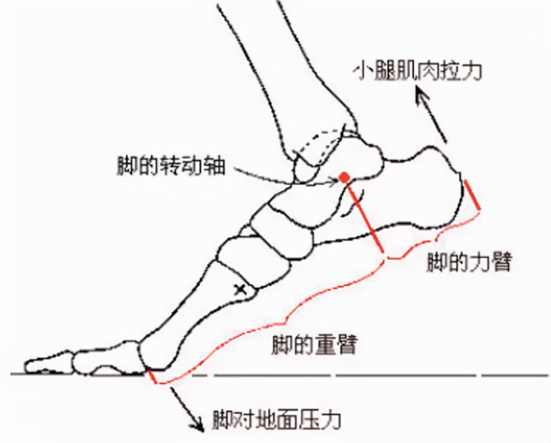买鞋子应该大一码还是刚刚好,买鞋子尺码怎么选