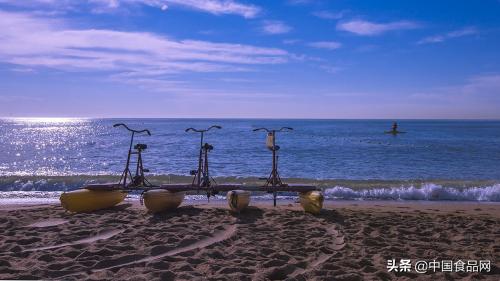 到日照吃海鲜到哪个小渔村最便宜,日照旅游吃海鲜