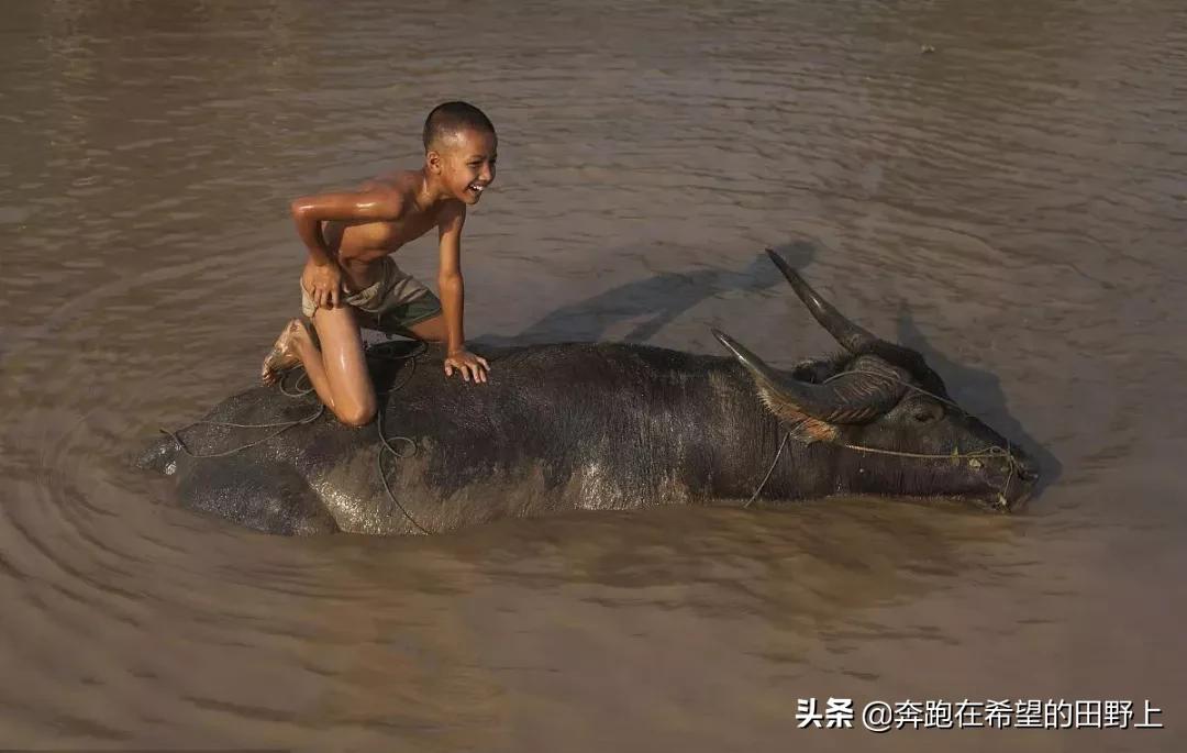 田间地头小憩,田间地头歇会儿