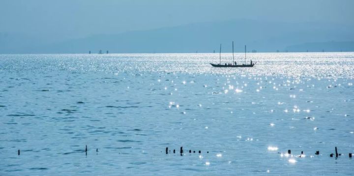 什么是云南品种,什么是云南的特色