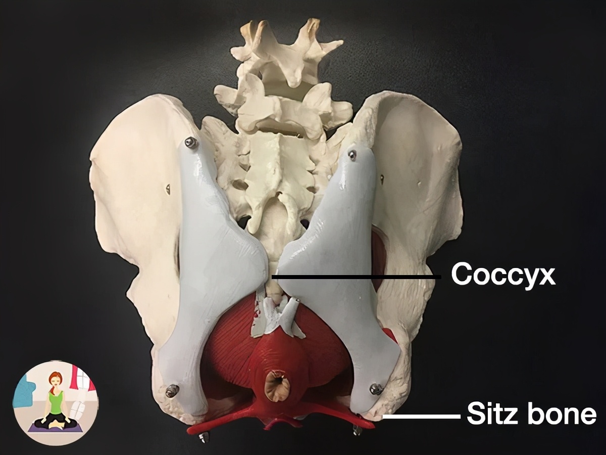 张雨绮怎么瘦成吴谨言了,张雨绮瘦的时候