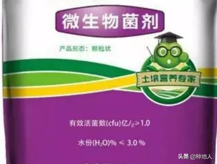有机肥生物,有机肥复合微生物菌肥