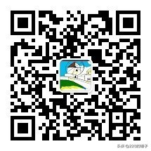 k神无双似水年华,k神无双似水流年