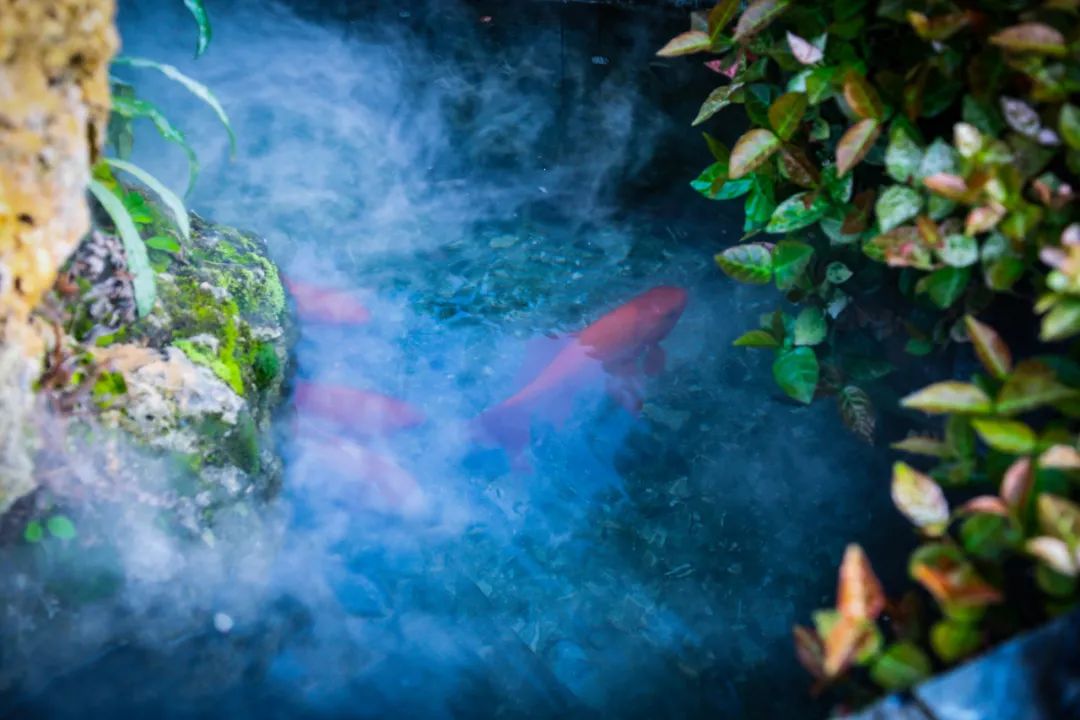 最美院子乡村,最美庭院农村轻奢