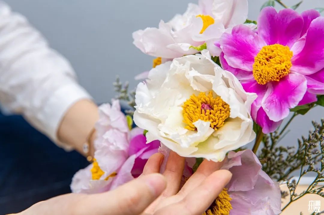 深夜去广州的花卉市场买花,如何逛斗南花卉市场买花便宜