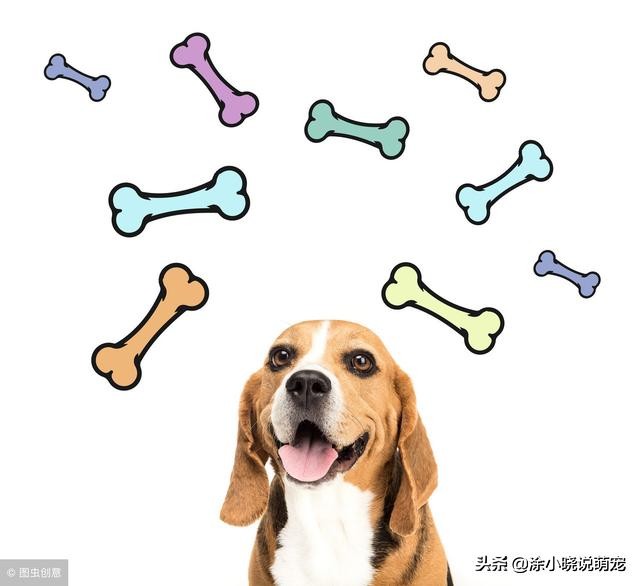 补充微量元素会影响大便吗,补充维生素可以减少猫咪掉毛吗