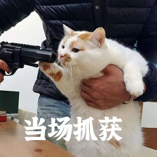 《创造营》最惨打工人出现了！花样作死求淘汰，网友：休想下班