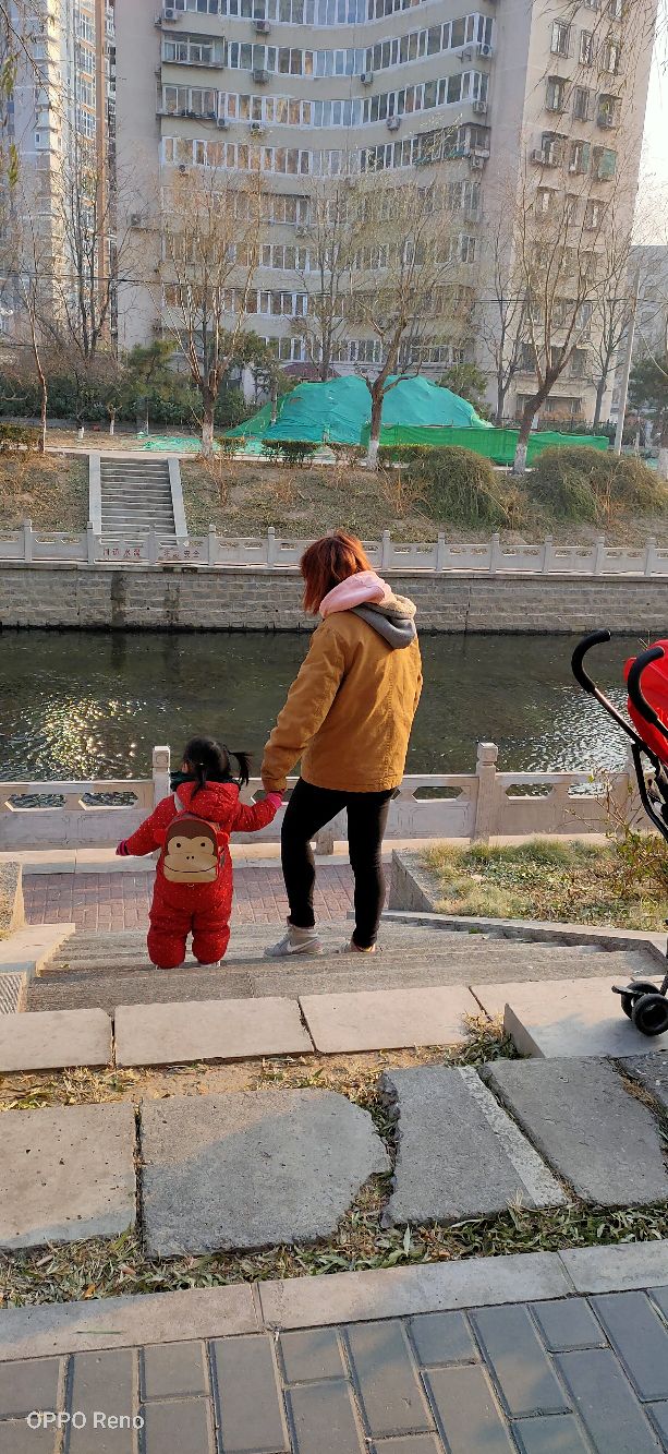 散文女人要学会改变,散文女人花