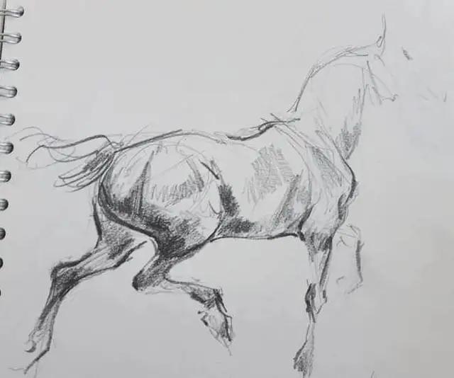 速写简笔画马,画速写不需要临摹