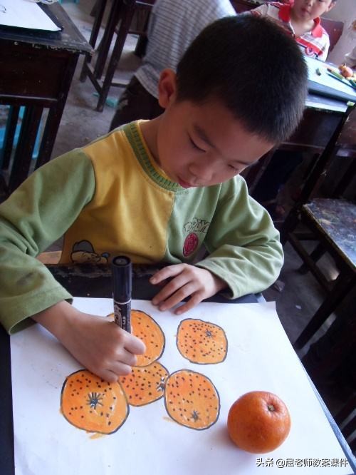 屈老师大班美术教案,橘子写生美术教案