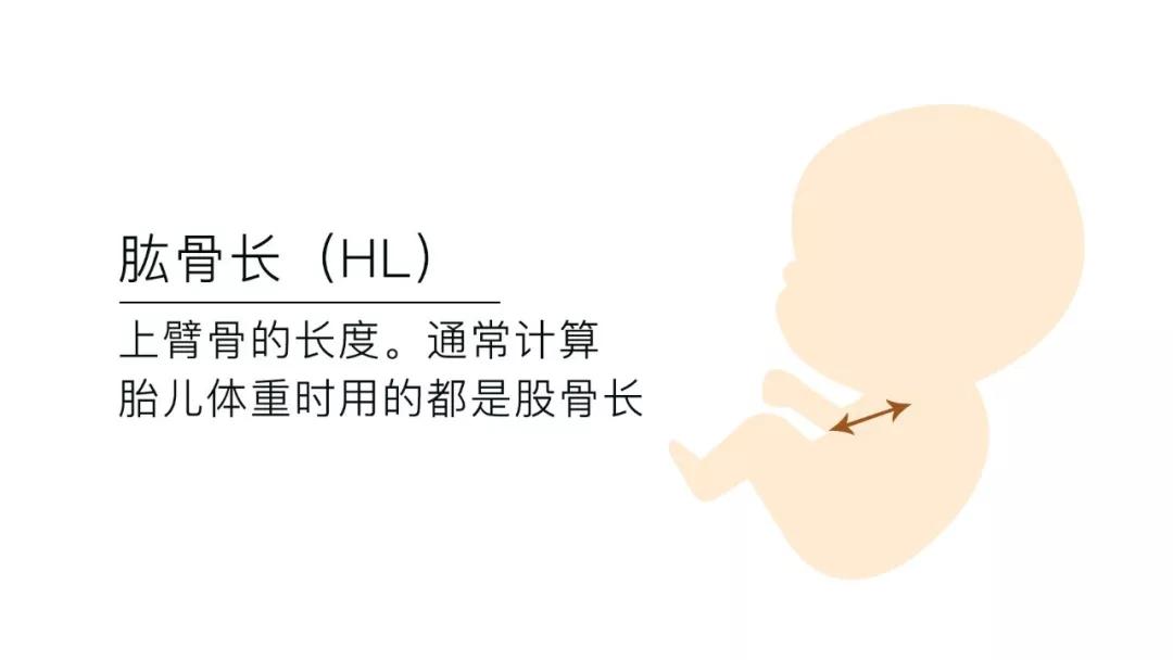 孕期到底需要做几次B超？B超/彩超/三维/四维的区别及选择