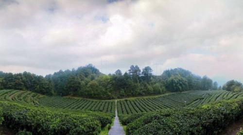 时光大师创业方案,时光大师加盟