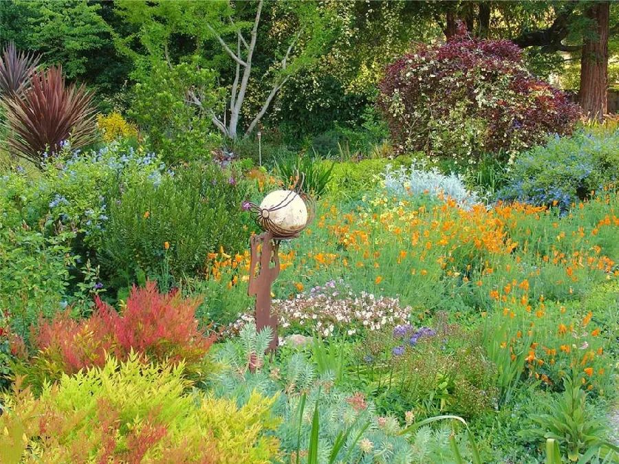 干货分享种植小技巧,混合花境设计与种植建议