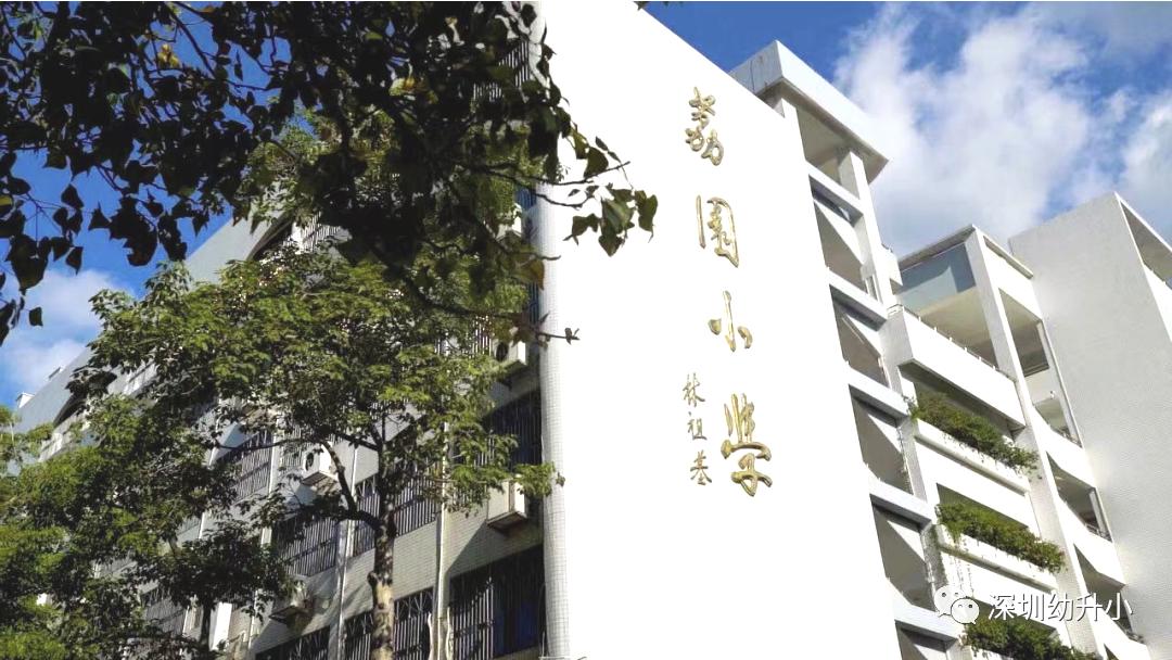 深圳top10学校,深圳初中十大名校排名