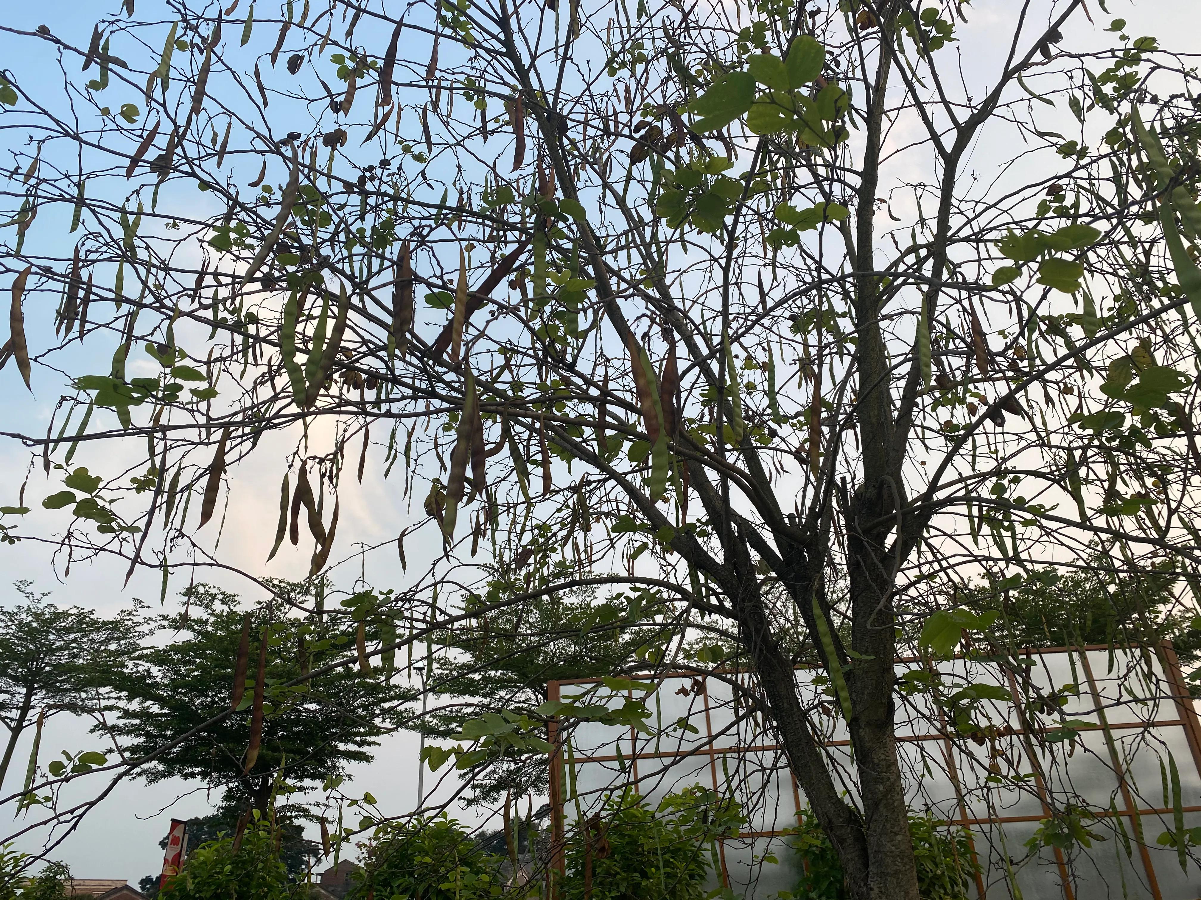 佛山盈香生态园一天玩得完吗,佛山盈香生态园值得去吗