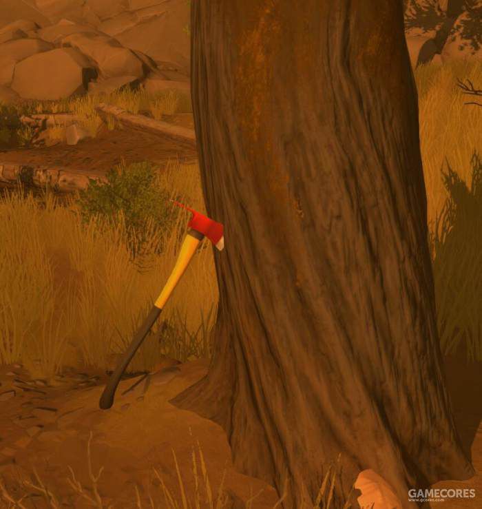 落基山脉森林,落基山森林