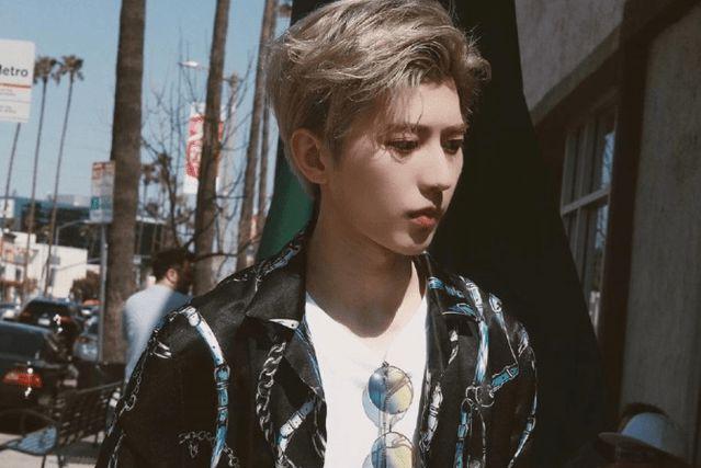 蔡徐坤算歌手还是明星,蔡徐坤是阴柔风吗