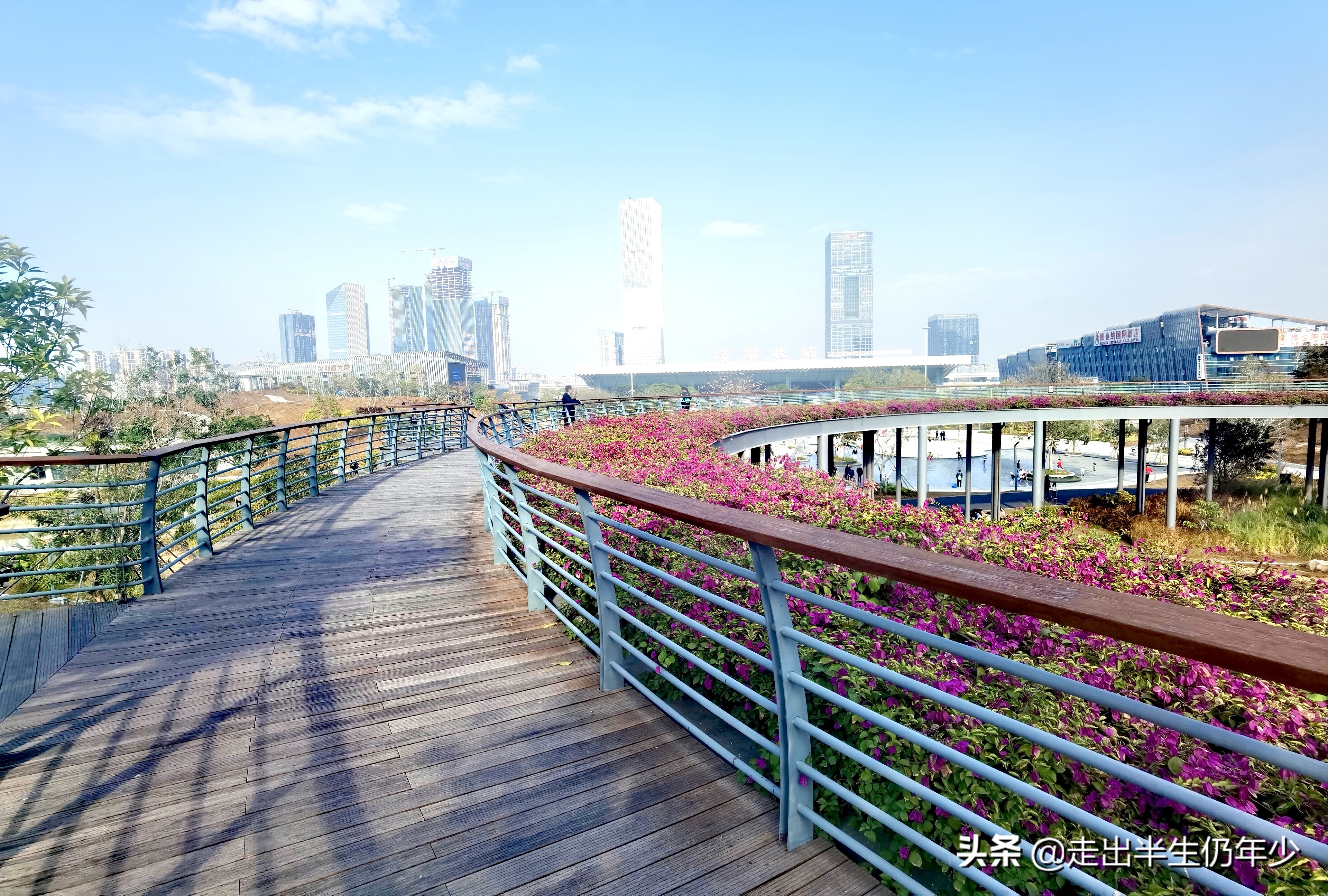 深圳足球场,深圳免费足球场