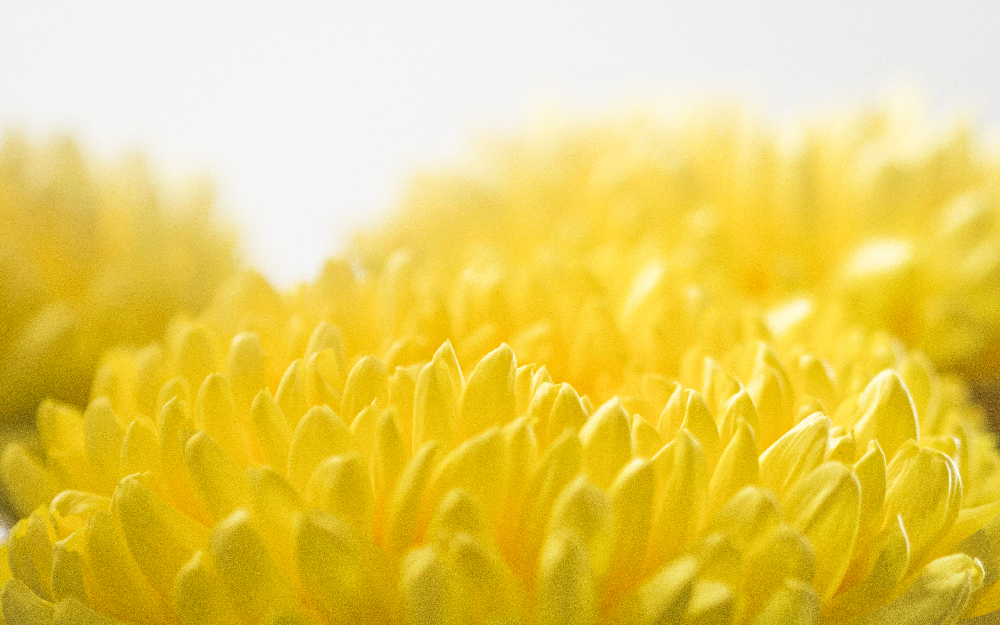 荆山旅游景点大全,荆山美景