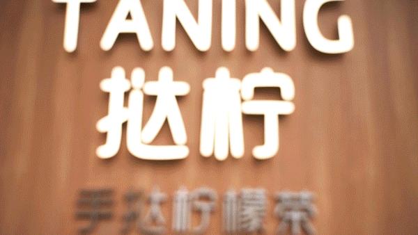 挞柠柠檬茶广东,佛山禅城手打柠檬茶