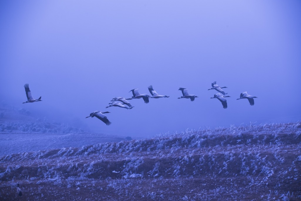 这些地方颜值逆天，却被土到掉渣的名字坑惨了