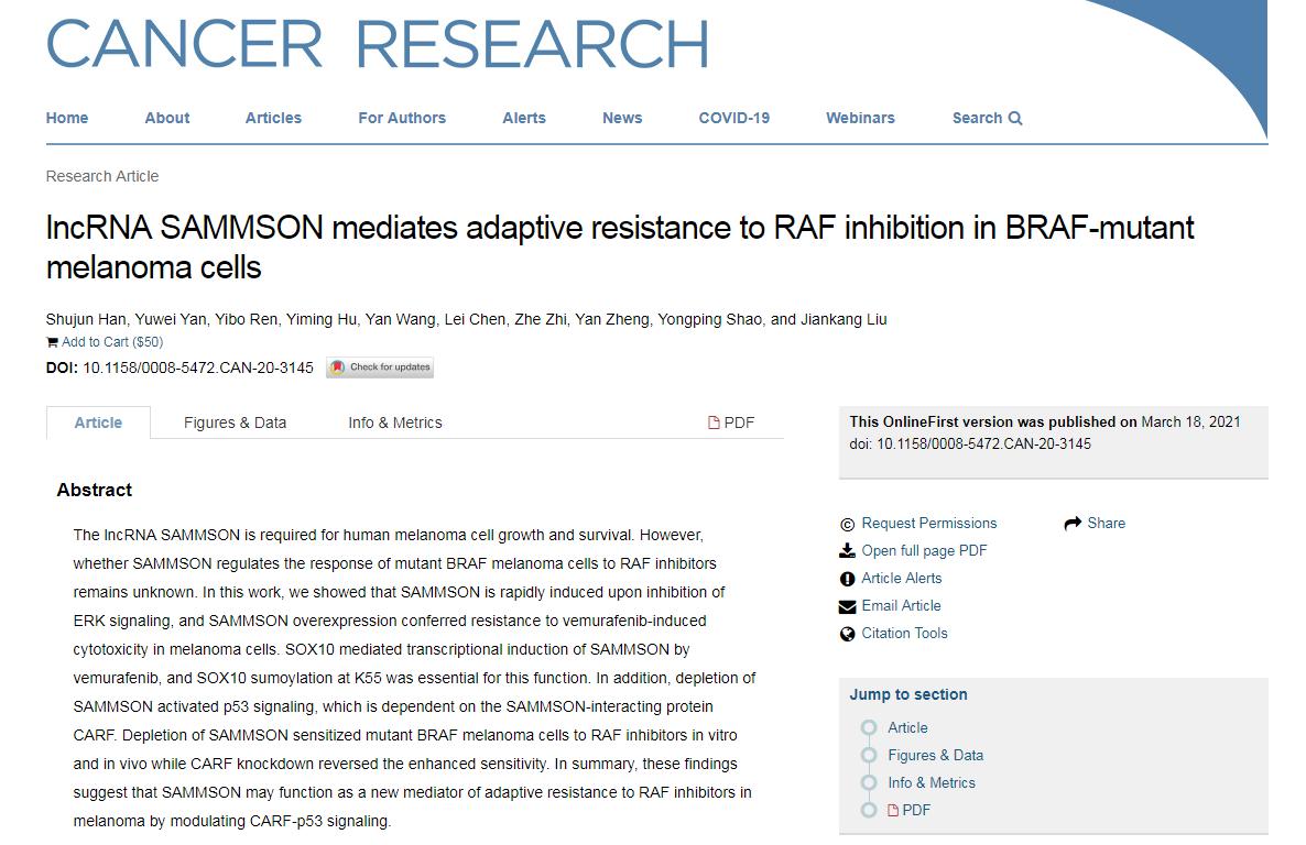 肿瘤治疗技术重大突破最新,西安交大肿瘤治疗进展
