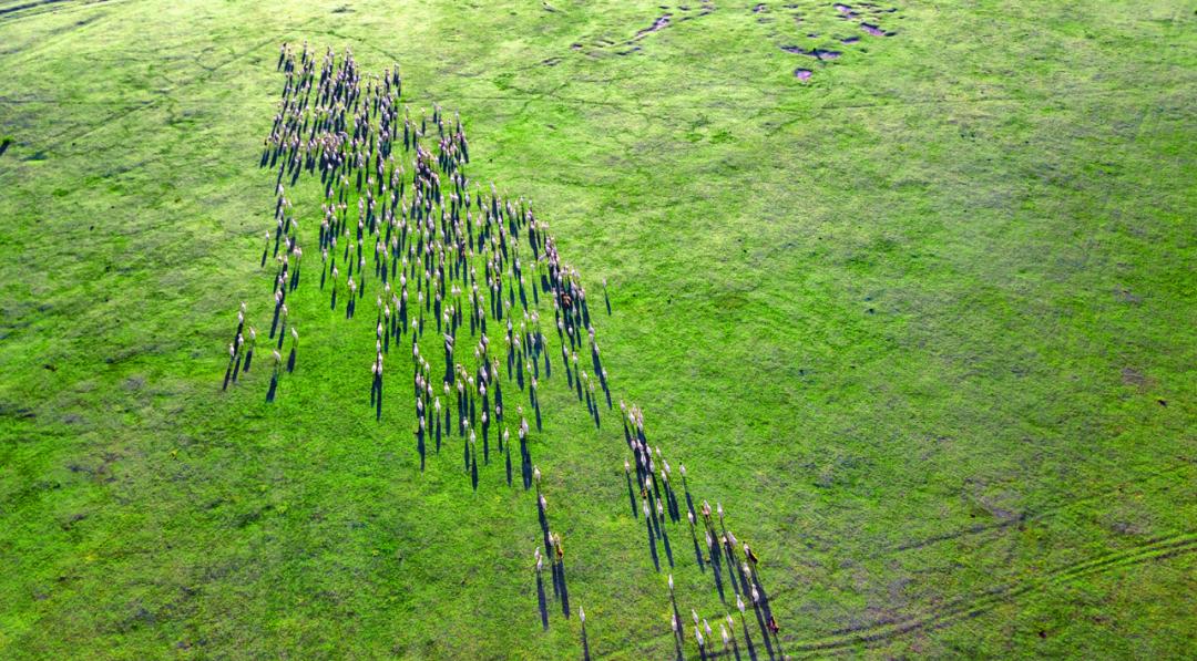 端午节一起去探访狼图腾的拍摄地