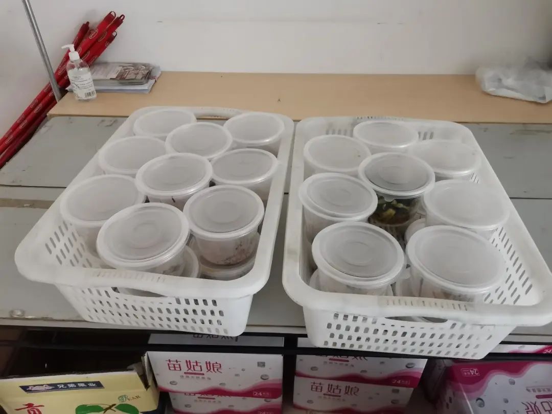 南沙|隔着口罩贴着心,素未谋面情相依!珠江街织就关爱入境集中医学观察人员暖心网