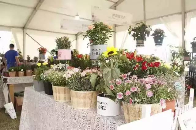 看看纽约中央公园的美景,真实的纽约中央公园