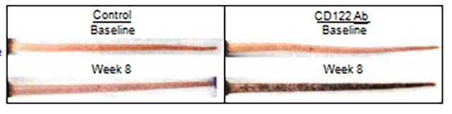 il-15,il-15单抗治疗白癜风