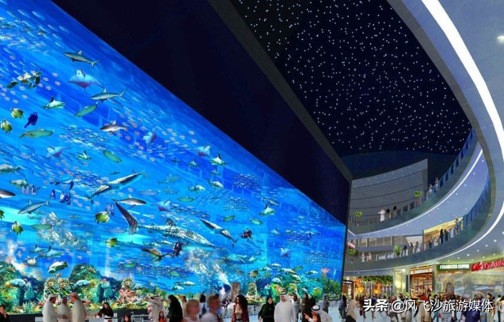 最全的迪拜攻略送给你,迪拜免费攻略