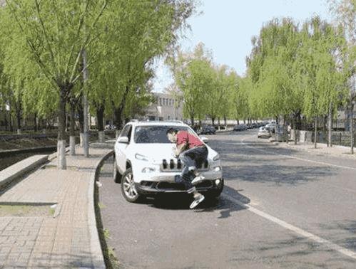 故意碰瓷被撞死车主没有证据证明,开车被碰瓷了没有证据显示怎么办