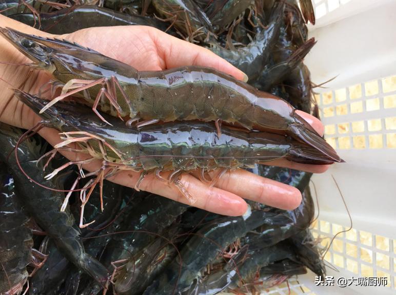 明虾和罗氏虾哪个口感好,明虾罗氏虾基围虾哪个好吃