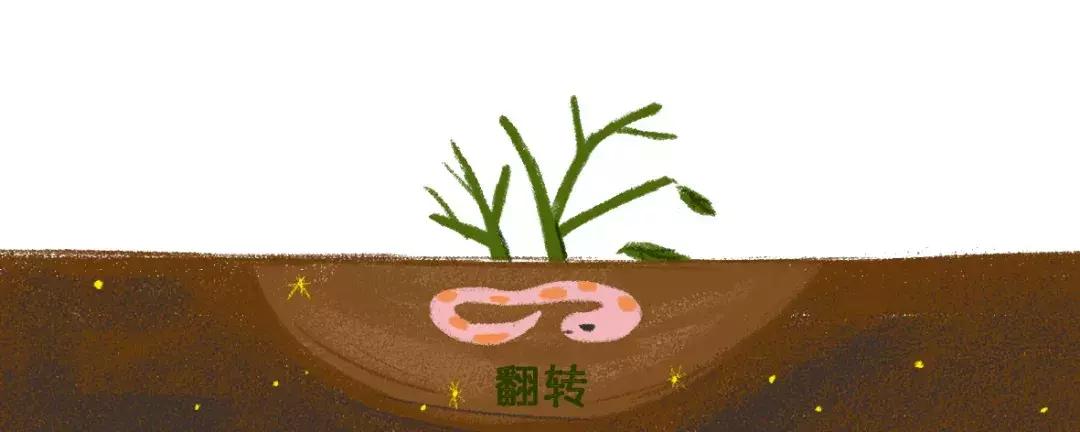 为孩子打开一扇奇妙世界之门,孩子脑洞大开的方法