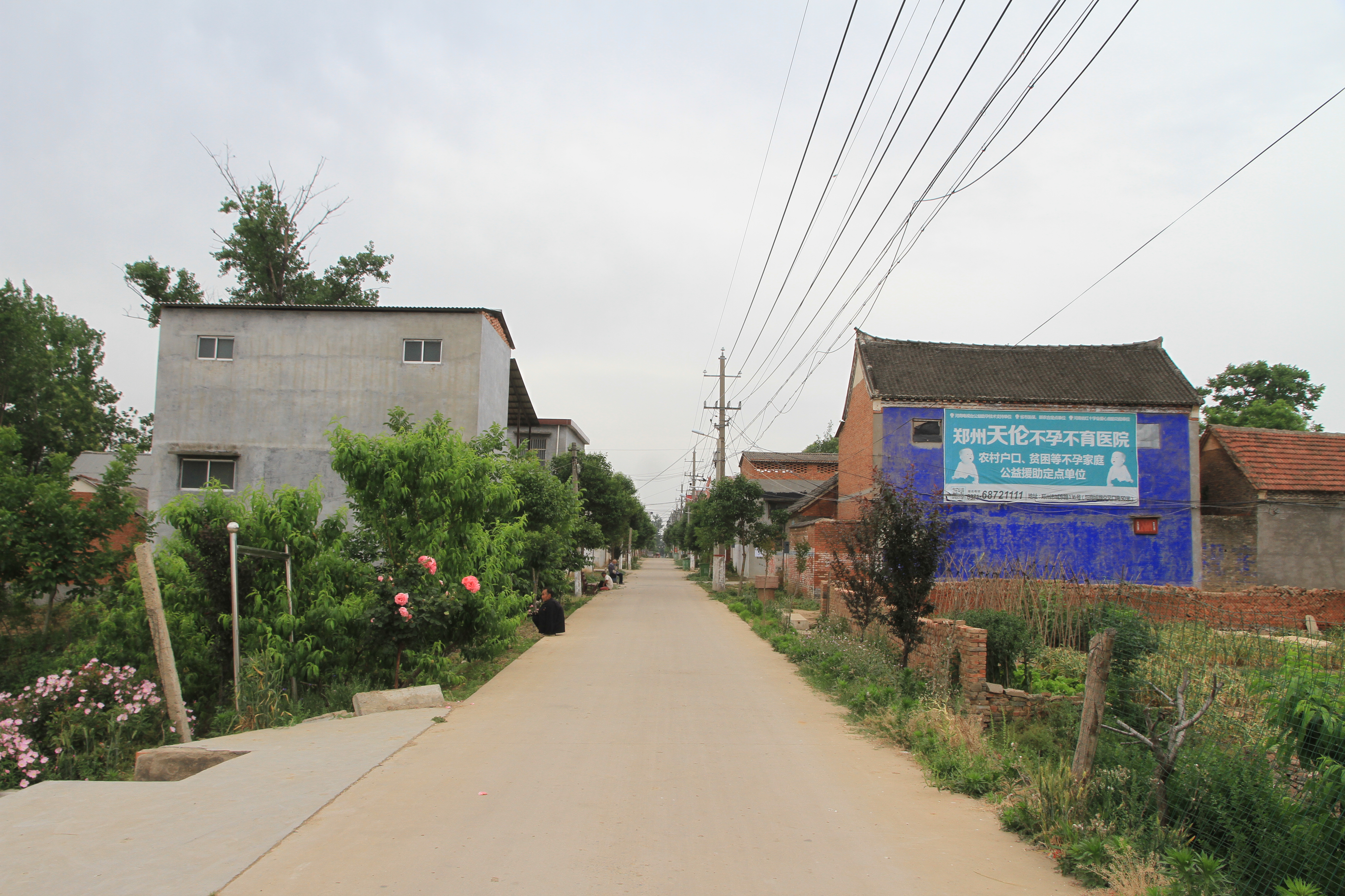 走进一百个美丽乡村第九站,走进100个美丽乡村东屯乡