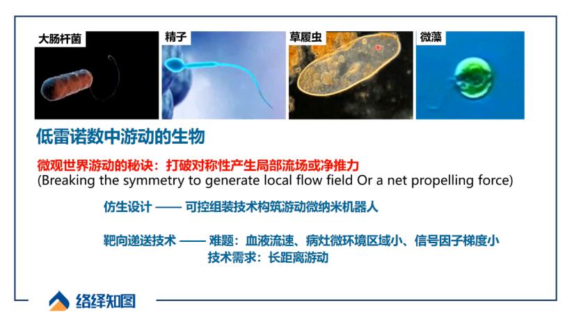 胶质瘤纳米疗法,微纳机器人治疗胶质瘤