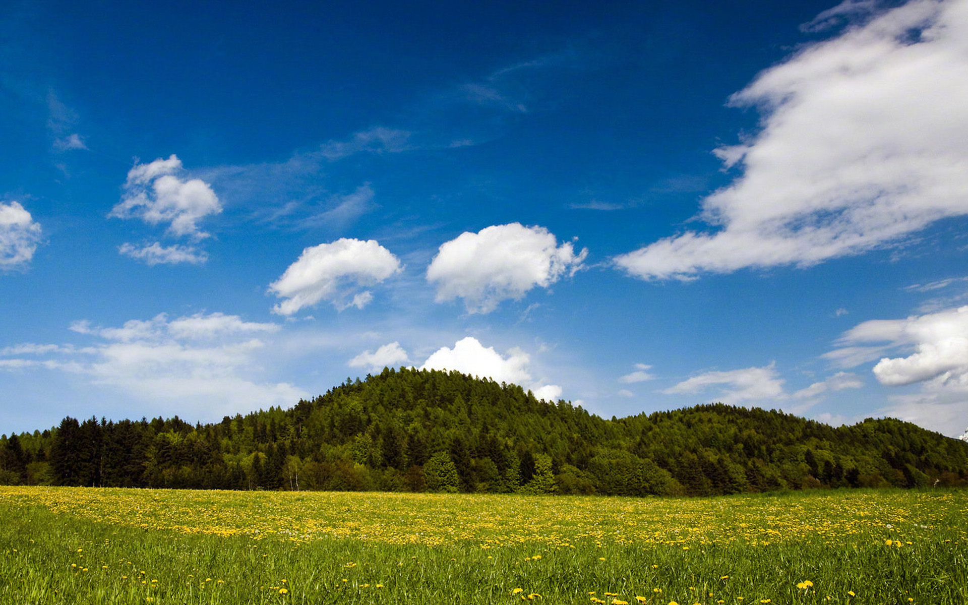 恐惧死亡心理学深度解析,死亡不恐惧心理分析