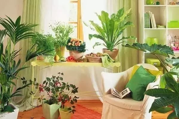 冬季室内除甲醛有效方法,冬季室内除甲醛最好的方法