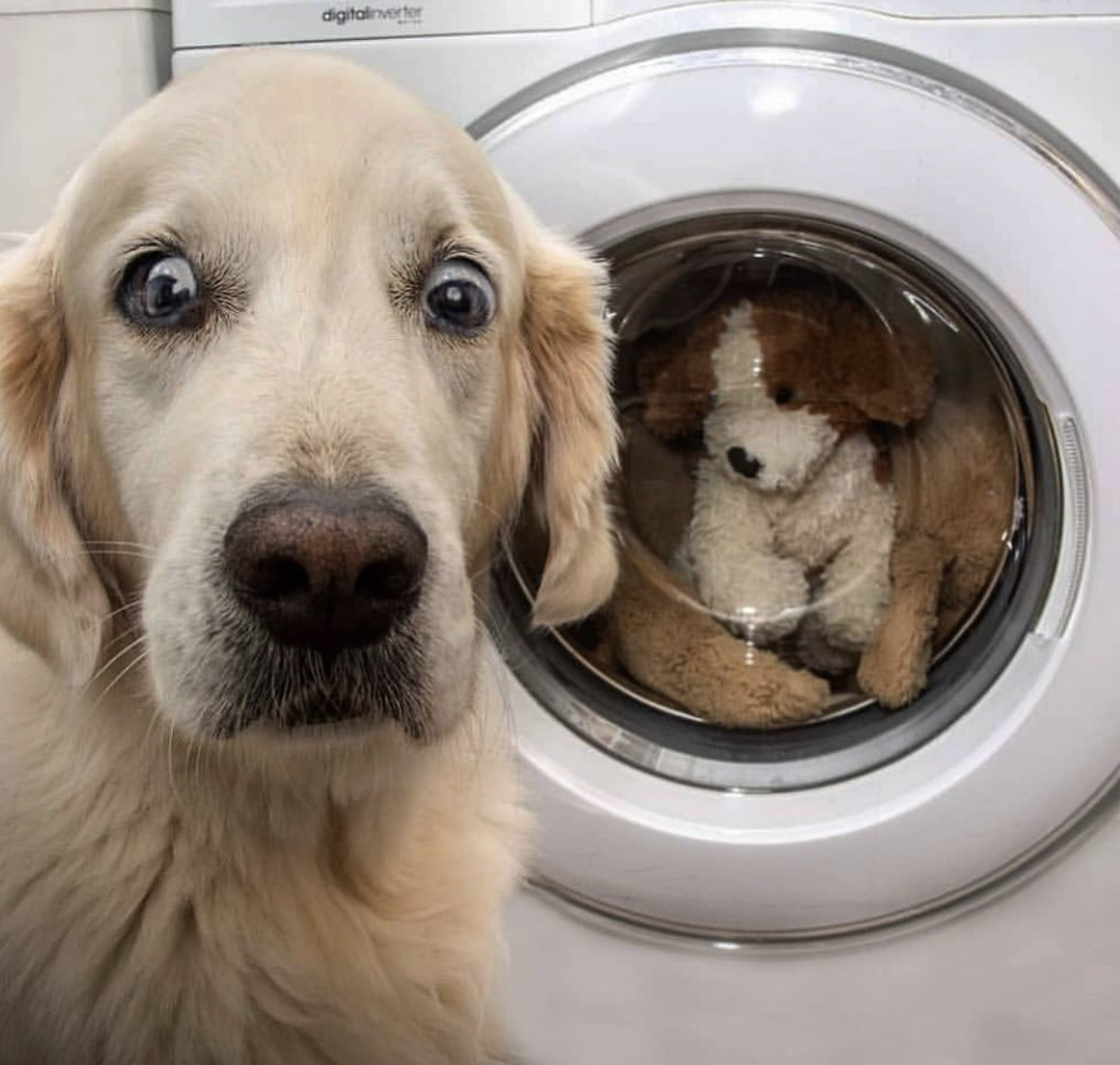 洗衣服妙招衣服越洗越新,洗衣服也是需要有技术和经验