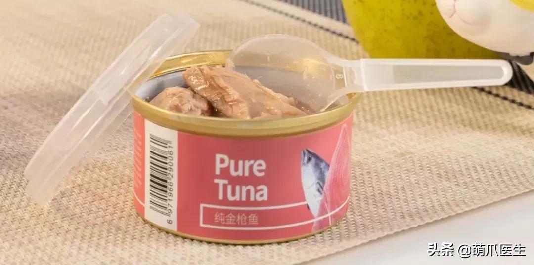 猫咪天天跑去喂鱼,猫咪不吃东西喝汤能喝饱吗