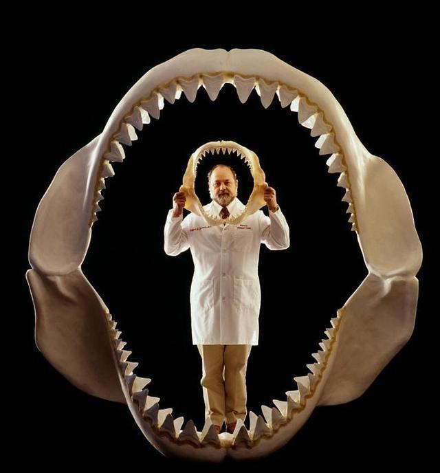 我国发现奇异福建龙化石在哪里,云南发现奇异罗平龙化石