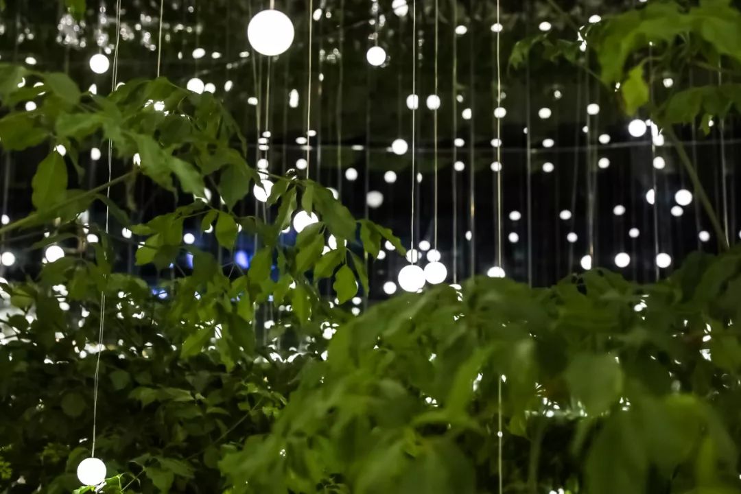 这个品牌把星空搬进店里，路过的人都大呼：太惊艳了