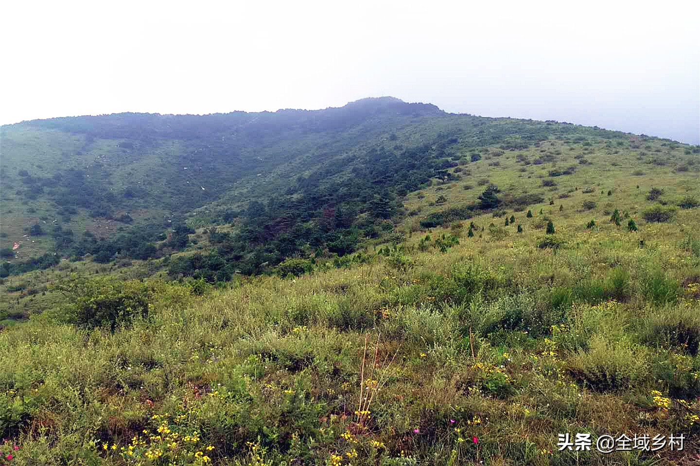 卢氏大山的风景,三门峡市卢氏县官道口石大山