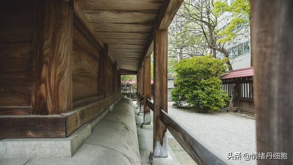 皇家加勒比邮轮量子号新加坡出发,皇家加勒比海洋量子号邮轮之旅