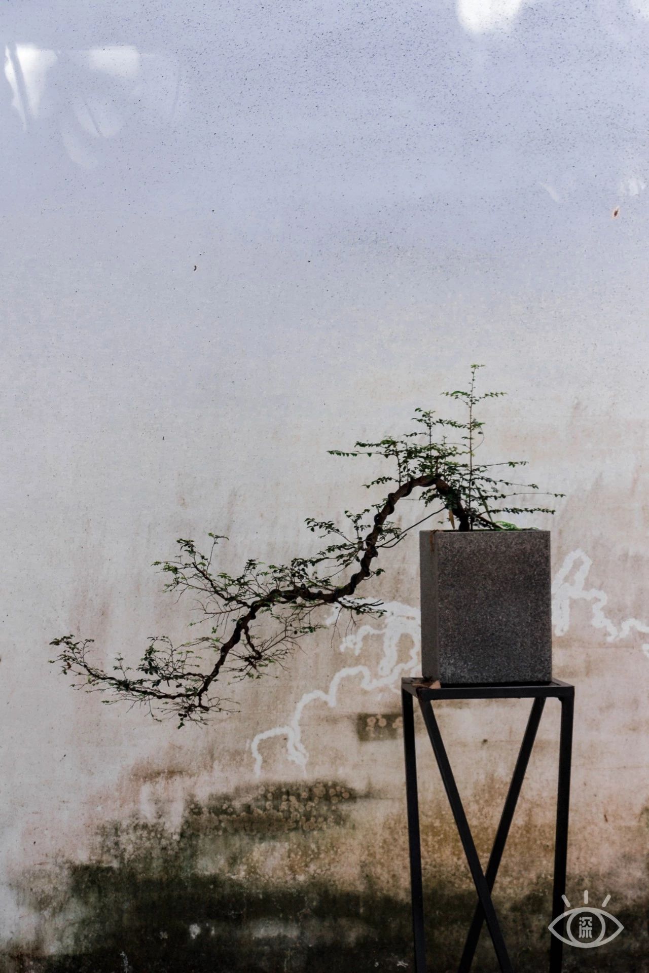 深圳十大顶级公园,深圳市十大风景公园排名