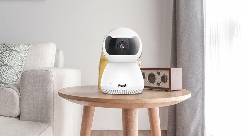 隔壁老王家的孩子是怎么样的,隔壁老王的孩子特点